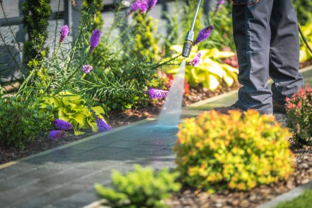 Reliable New Egypt, NJ Pressure Washing Services Solutions